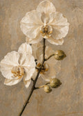 No 5