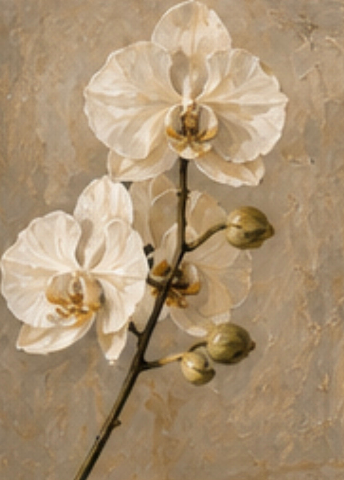 No 5